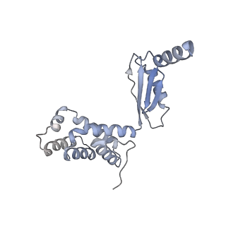 34581_8h9t_O_v1-2
Human ATP synthase state 2 (combined)