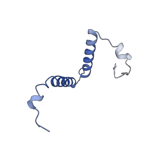 34581_8h9t_R_v1-2
Human ATP synthase state 2 (combined)