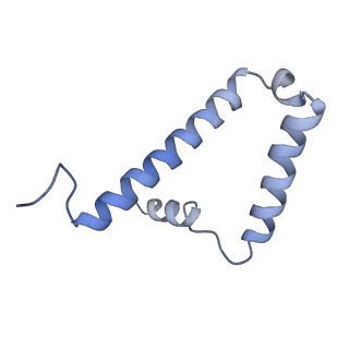 34581_8h9t_S_v1-2
Human ATP synthase state 2 (combined)