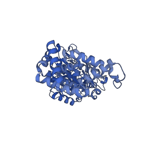 34582_8h9u_A_v1-2
Human ATP synthase state 3a (combined)