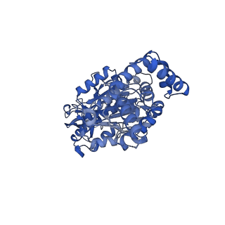 34582_8h9u_B_v1-2
Human ATP synthase state 3a (combined)
