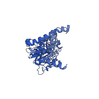 34582_8h9u_D_v1-2
Human ATP synthase state 3a (combined)