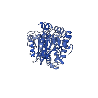 34582_8h9u_E_v1-2
Human ATP synthase state 3a (combined)