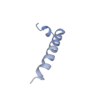 34582_8h9u_J_v1-2
Human ATP synthase state 3a (combined)