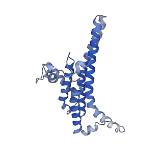 34582_8h9u_N_v1-2
Human ATP synthase state 3a (combined)