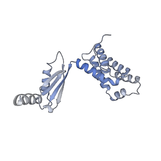 34582_8h9u_O_v1-2
Human ATP synthase state 3a (combined)