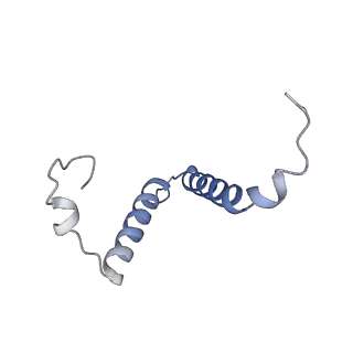 34582_8h9u_R_v1-2
Human ATP synthase state 3a (combined)