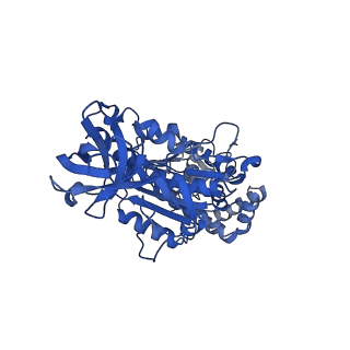34583_8h9v_B_v1-2
Human ATP synthase state 3b (combined)