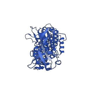 34583_8h9v_C_v1-2
Human ATP synthase state 3b (combined)