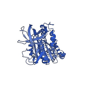 34583_8h9v_E_v1-2
Human ATP synthase state 3b (combined)