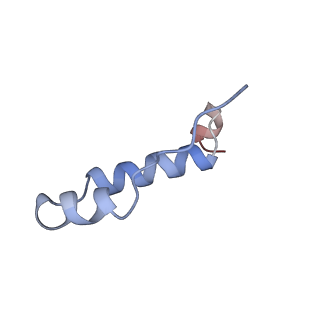 34583_8h9v_I_v1-2
Human ATP synthase state 3b (combined)