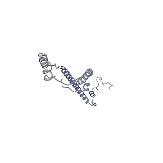 34583_8h9v_M_v1-2
Human ATP synthase state 3b (combined)