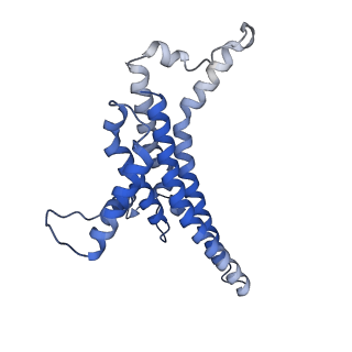 34583_8h9v_N_v1-2
Human ATP synthase state 3b (combined)