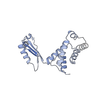 34583_8h9v_O_v1-2
Human ATP synthase state 3b (combined)