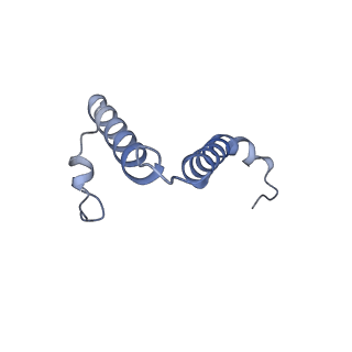 34583_8h9v_R_v1-2
Human ATP synthase state 3b (combined)