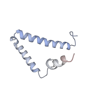 34583_8h9v_S_v1-2
Human ATP synthase state 3b (combined)