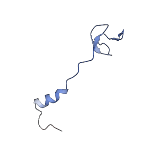 0176_6ha1_0_v1-3
Cryo-EM structure of a 70S Bacillus subtilis ribosome translating the ErmD leader peptide in complex with telithromycin