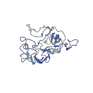 0176_6ha1_C_v1-3
Cryo-EM structure of a 70S Bacillus subtilis ribosome translating the ErmD leader peptide in complex with telithromycin