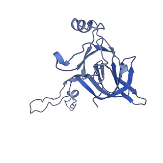 0176_6ha1_D_v1-3
Cryo-EM structure of a 70S Bacillus subtilis ribosome translating the ErmD leader peptide in complex with telithromycin