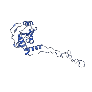0176_6ha1_E_v1-3
Cryo-EM structure of a 70S Bacillus subtilis ribosome translating the ErmD leader peptide in complex with telithromycin