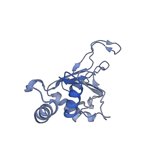 0176_6ha1_F_v1-3
Cryo-EM structure of a 70S Bacillus subtilis ribosome translating the ErmD leader peptide in complex with telithromycin