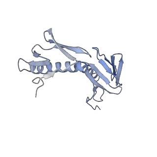 0176_6ha1_G_v1-3
Cryo-EM structure of a 70S Bacillus subtilis ribosome translating the ErmD leader peptide in complex with telithromycin