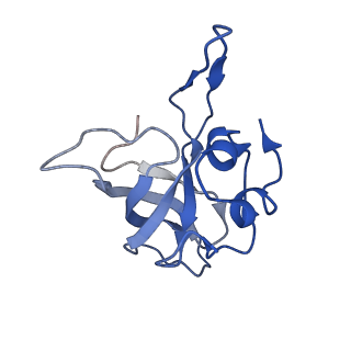0176_6ha1_K_v1-3
Cryo-EM structure of a 70S Bacillus subtilis ribosome translating the ErmD leader peptide in complex with telithromycin