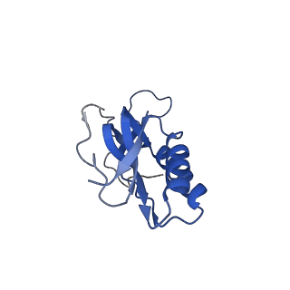 0176_6ha1_M_v1-3
Cryo-EM structure of a 70S Bacillus subtilis ribosome translating the ErmD leader peptide in complex with telithromycin