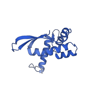0176_6ha1_N_v1-3
Cryo-EM structure of a 70S Bacillus subtilis ribosome translating the ErmD leader peptide in complex with telithromycin