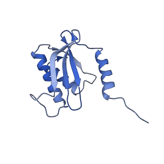 0176_6ha1_O_v1-3
Cryo-EM structure of a 70S Bacillus subtilis ribosome translating the ErmD leader peptide in complex with telithromycin