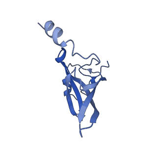 0176_6ha1_P_v1-3
Cryo-EM structure of a 70S Bacillus subtilis ribosome translating the ErmD leader peptide in complex with telithromycin