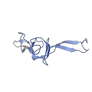 0176_6ha1_U_v1-3
Cryo-EM structure of a 70S Bacillus subtilis ribosome translating the ErmD leader peptide in complex with telithromycin