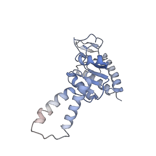 0176_6ha1_b_v1-3
Cryo-EM structure of a 70S Bacillus subtilis ribosome translating the ErmD leader peptide in complex with telithromycin