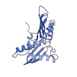 0176_6ha1_c_v1-3
Cryo-EM structure of a 70S Bacillus subtilis ribosome translating the ErmD leader peptide in complex with telithromycin