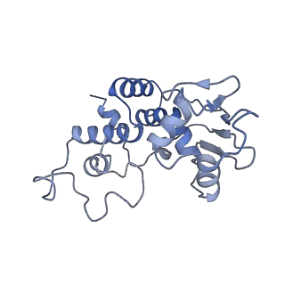 0176_6ha1_d_v1-3
Cryo-EM structure of a 70S Bacillus subtilis ribosome translating the ErmD leader peptide in complex with telithromycin