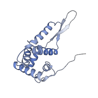 0176_6ha1_g_v1-3
Cryo-EM structure of a 70S Bacillus subtilis ribosome translating the ErmD leader peptide in complex with telithromycin