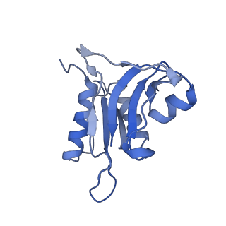 0176_6ha1_h_v1-3
Cryo-EM structure of a 70S Bacillus subtilis ribosome translating the ErmD leader peptide in complex with telithromycin