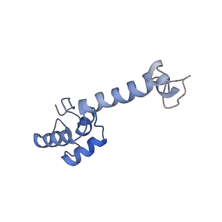 0176_6ha1_m_v1-3
Cryo-EM structure of a 70S Bacillus subtilis ribosome translating the ErmD leader peptide in complex with telithromycin