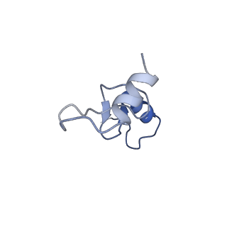 0176_6ha1_n_v1-3
Cryo-EM structure of a 70S Bacillus subtilis ribosome translating the ErmD leader peptide in complex with telithromycin