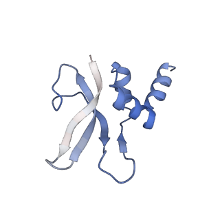 0176_6ha1_p_v1-3
Cryo-EM structure of a 70S Bacillus subtilis ribosome translating the ErmD leader peptide in complex with telithromycin