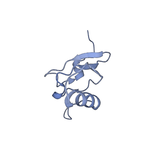 0176_6ha1_s_v1-3
Cryo-EM structure of a 70S Bacillus subtilis ribosome translating the ErmD leader peptide in complex with telithromycin