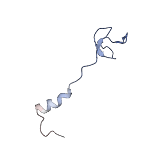 0177_6ha8_0_v1-3
Cryo-EM structure of the ABCF protein VmlR bound to the Bacillus subtilis ribosome