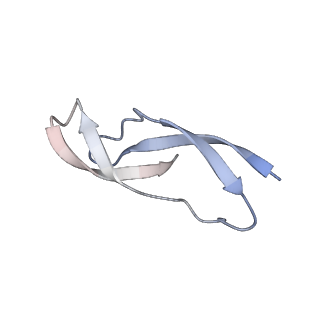 0177_6ha8_1_v1-3
Cryo-EM structure of the ABCF protein VmlR bound to the Bacillus subtilis ribosome