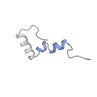 0177_6ha8_2_v1-3
Cryo-EM structure of the ABCF protein VmlR bound to the Bacillus subtilis ribosome