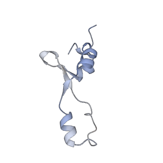 0177_6ha8_3_v1-3
Cryo-EM structure of the ABCF protein VmlR bound to the Bacillus subtilis ribosome