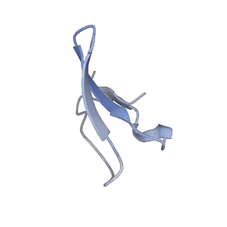 0177_6ha8_4_v1-3
Cryo-EM structure of the ABCF protein VmlR bound to the Bacillus subtilis ribosome