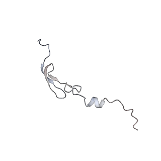 0177_6ha8_6_v1-3
Cryo-EM structure of the ABCF protein VmlR bound to the Bacillus subtilis ribosome