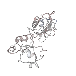 0177_6ha8_8_v1-3
Cryo-EM structure of the ABCF protein VmlR bound to the Bacillus subtilis ribosome
