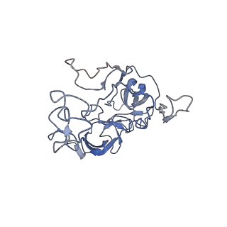 0177_6ha8_C_v1-3
Cryo-EM structure of the ABCF protein VmlR bound to the Bacillus subtilis ribosome