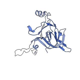 0177_6ha8_D_v1-3
Cryo-EM structure of the ABCF protein VmlR bound to the Bacillus subtilis ribosome